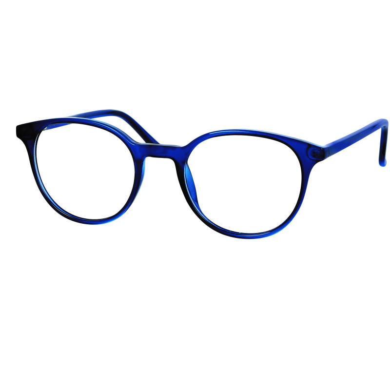 Monture tr90 bleue brillant branche acetate 48 20-140 prix net