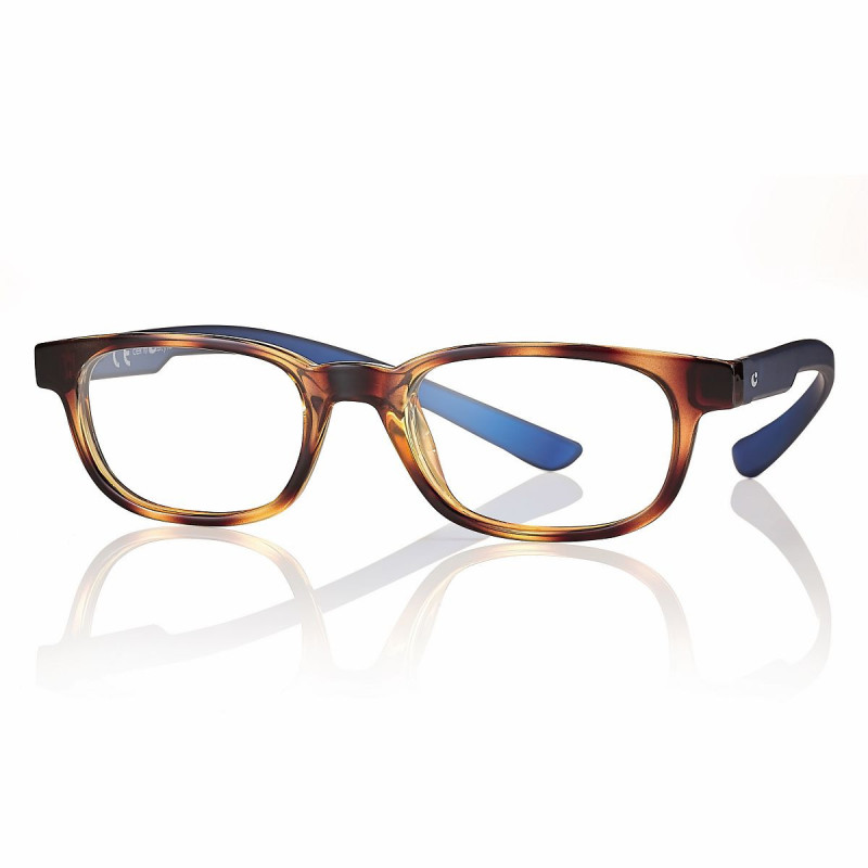 Lunette de lecture ecaille/bleu 48 +3 prix net
