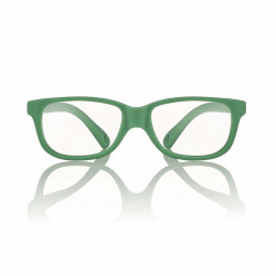 Monture active acetate vert clair mat 44 13 120 prix net