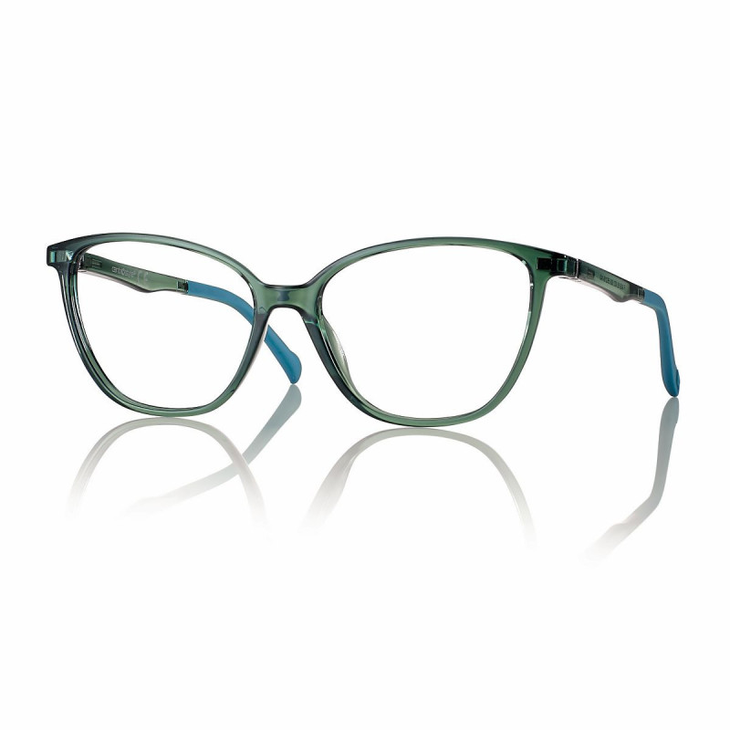 Mont. neyeture vert brillant + clip degrade gris 55 16-140 prix net