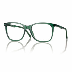 Mont. neyeture vert brillant + clip fume 55 18-150 prix net