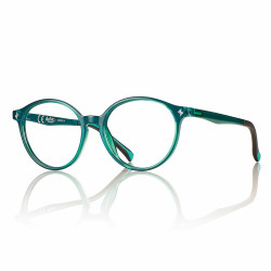 Monture panthos vert brillant + clip gris 48 14-130 prix net