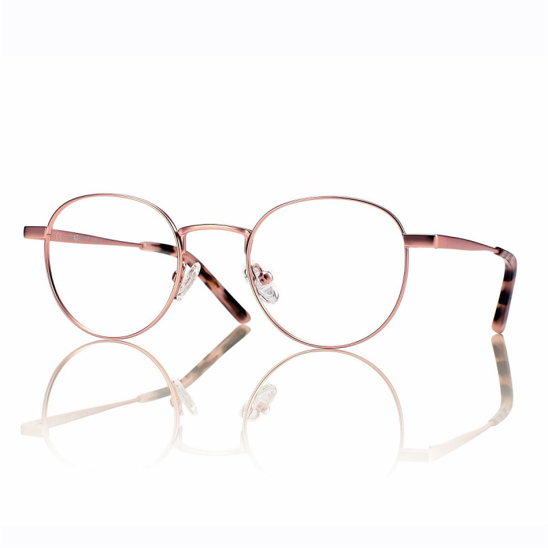 Mont. met. rose dore mat+clip magn ecaille verres deg.marron 48 22-140 prix net