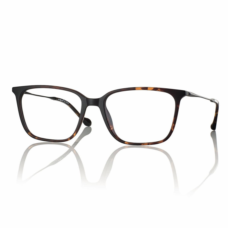 Mont. neyeture rilsan ecaille branches β titanium gunmetal 55 17-145 prix net