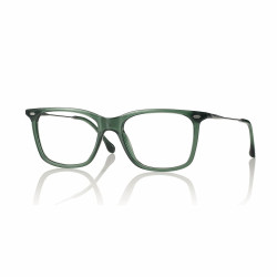 Mont. neyeture rilsan vert fonce translucide bran. argent mat 53 17-145 + 2 clips prix net