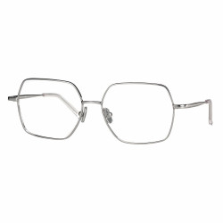 Monture nylor metal argent 53 15-145 prix net