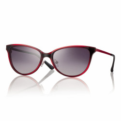 Clip rouge verres gris degrade 53 pour f028953138000 prix net