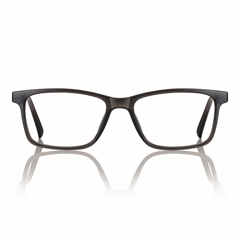Monture tr90 brillant gris ecaille 53 16-145 prix net