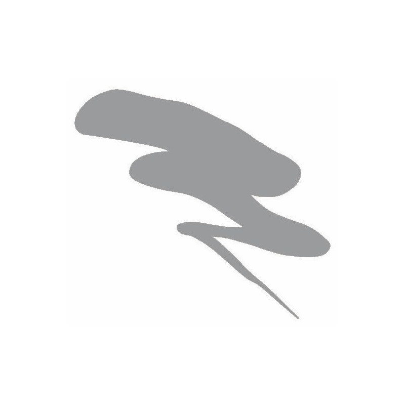 Laque de retouche argent