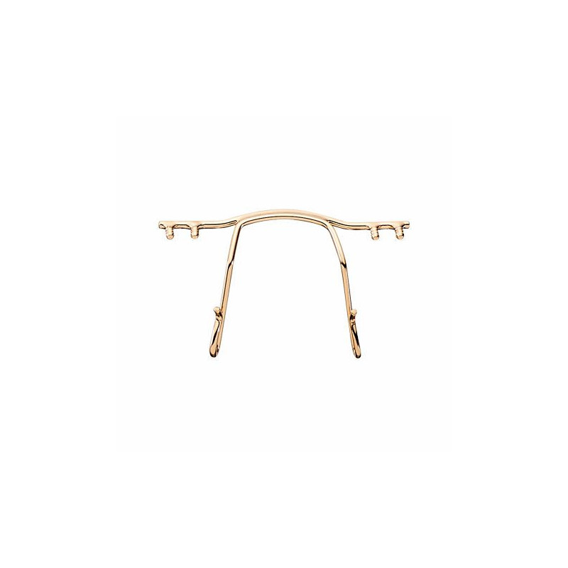 Pont en acier inoxydable dore pour percee (pc)