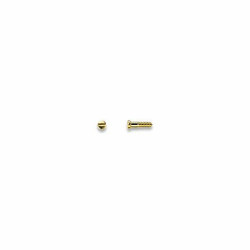 Vis plaquettes dorees 1.0mm x 4.1mm (100pcs)