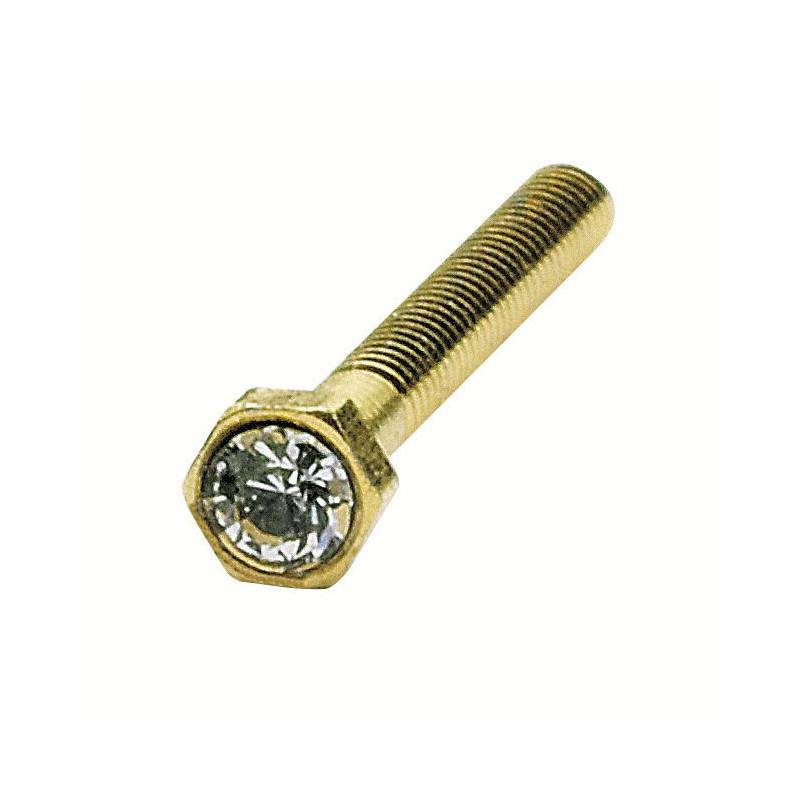 Vis p verres perces avec strass + ecrou (20pieces)