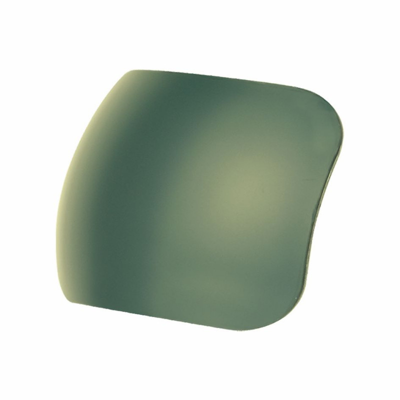 Feuilles poly. gris vert 70 b8  (2 pcs)